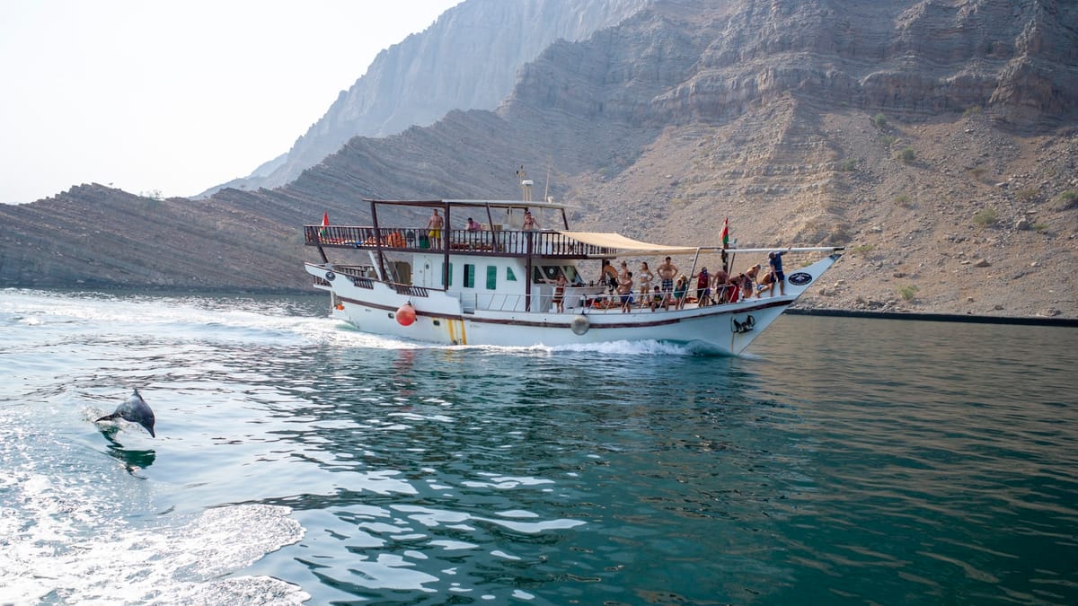 Malé satelity sledujú morskú divočinu: Revolúcia v ochrane oceánov