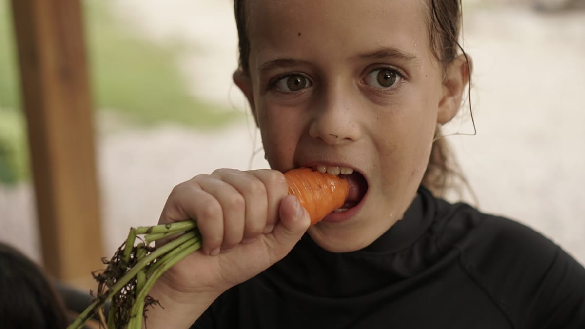 Hlad v konfliktných zónach: Prečo je pomoc nevyhnutná