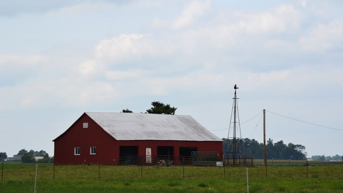 Ako korumpuje moc: Rozlúštenie Zvieratkárskej farmy