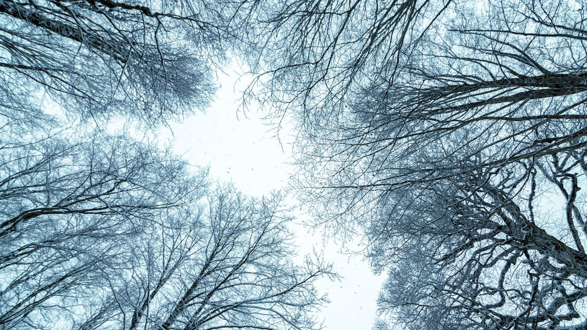 Európa sa pripravuje na návrat zimy: Očakáva nás výrazné ochladenie