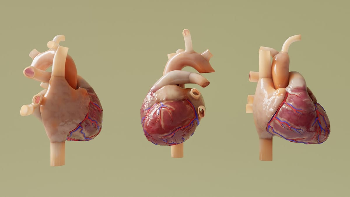 Môžeme byť nahraditeľní? Pohľad do sveta náhradných častí