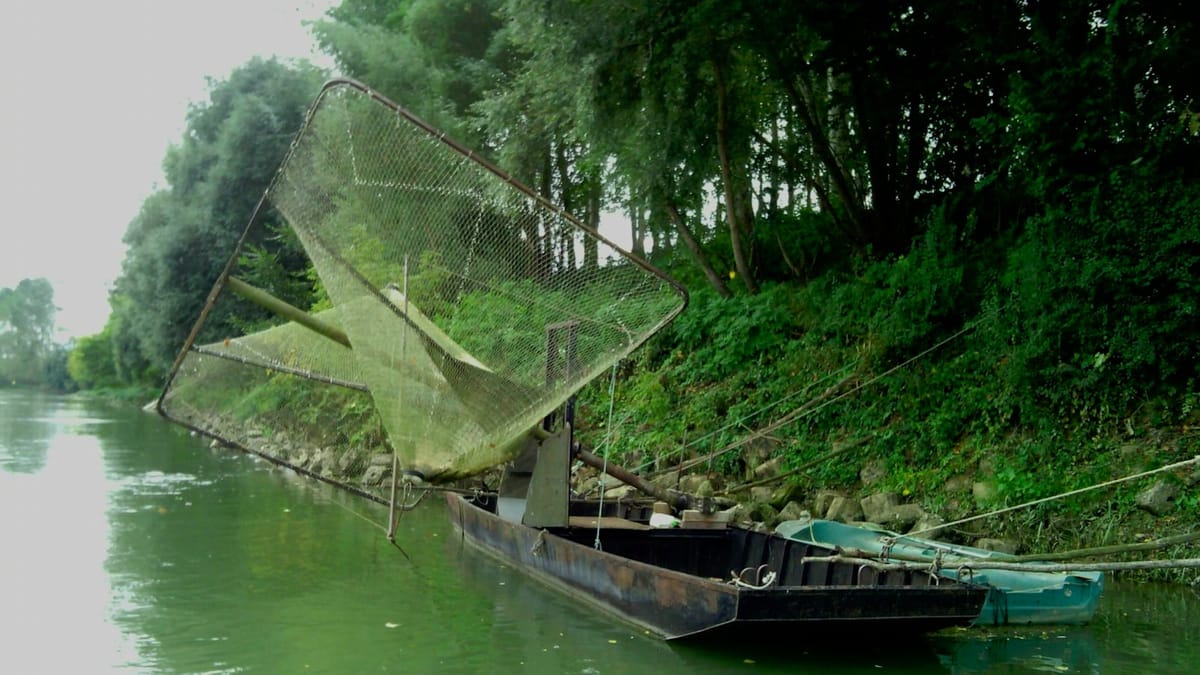 Objavovanie skrytých divov sladkovodných ekosystémov