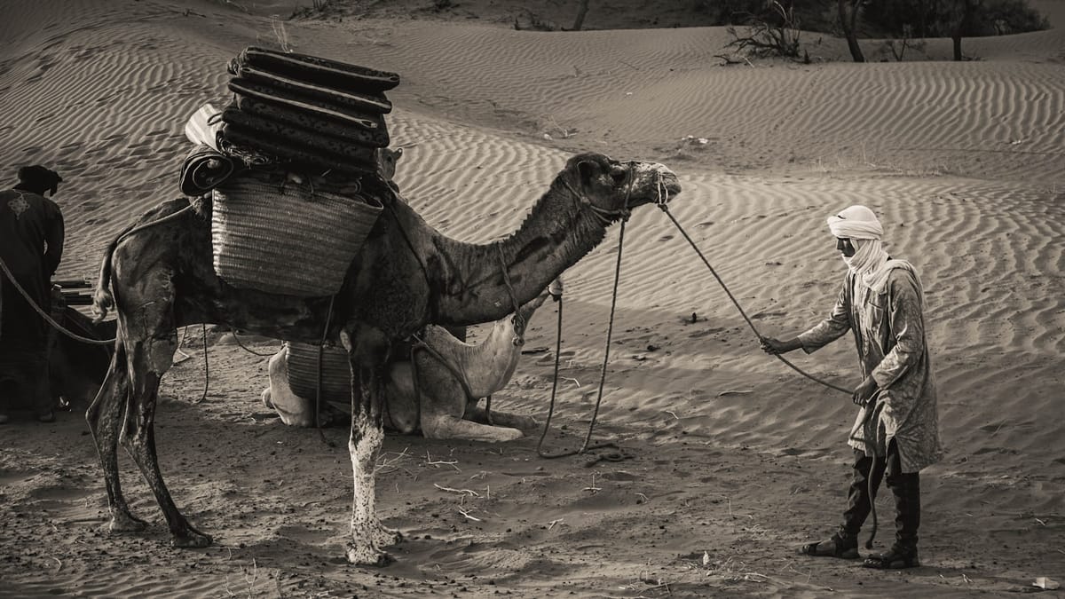 Irak: Pokrok v rozvoji a nová stratégia OSN