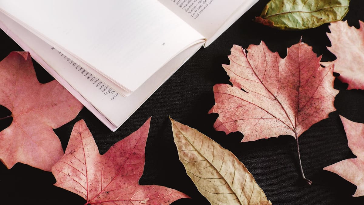 Rozhovor Julian Barnes a Ian McEwan: o živote, knihách a spomienkach