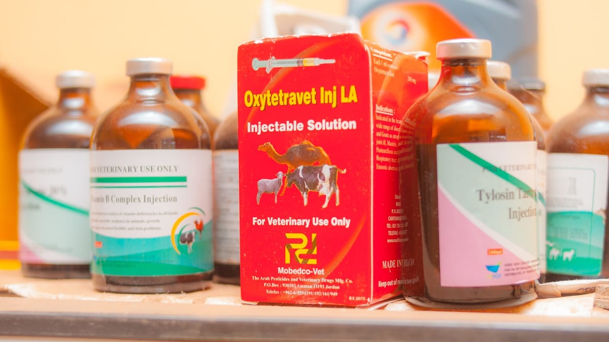 Zachrániť zrak miliónom detí: Jednoduché riešenie