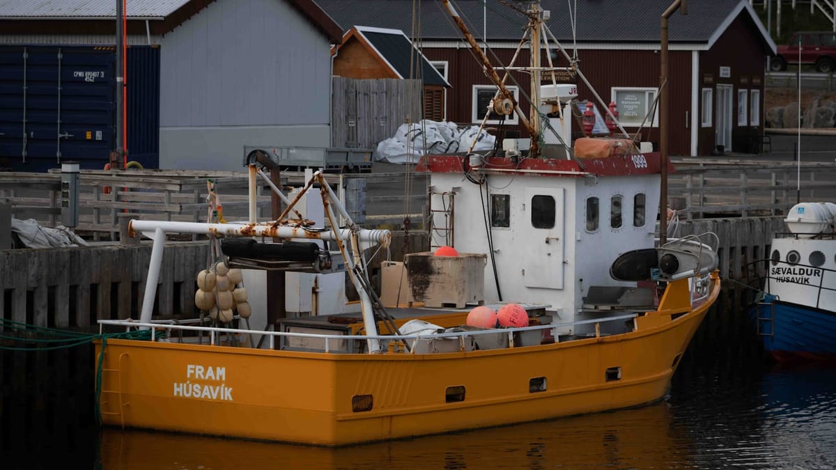 Andrew Huberman a modré svetlo: Veda alebo peniaze?