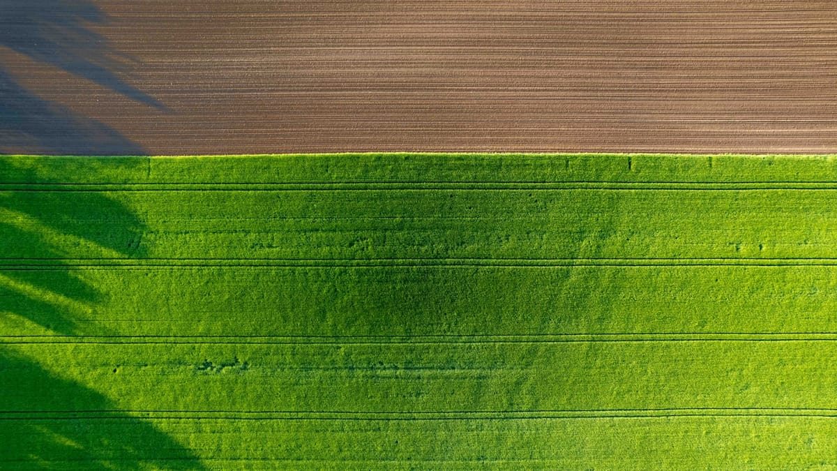 Matematická zábava s lízankami: Ako rozdeľovať pláž