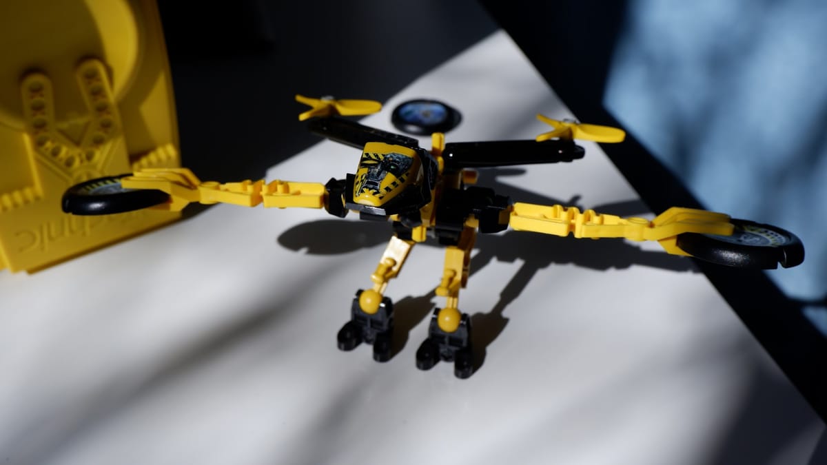 Ako netopiere inšpirujú inteligentnejších robotov?