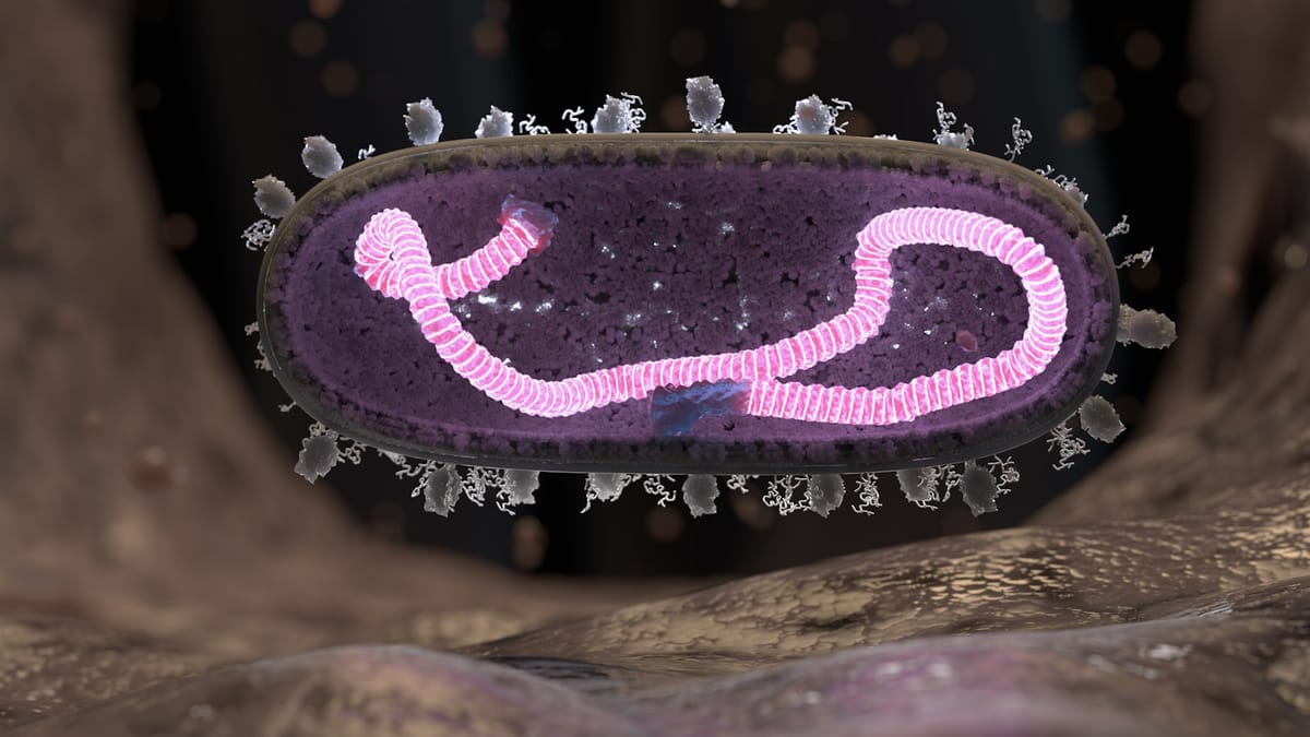 Mitochondrie: Tajomstvo metabolizmu