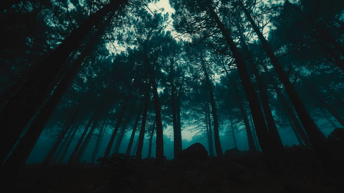 Temná noc strašidiel – recenzia filmu