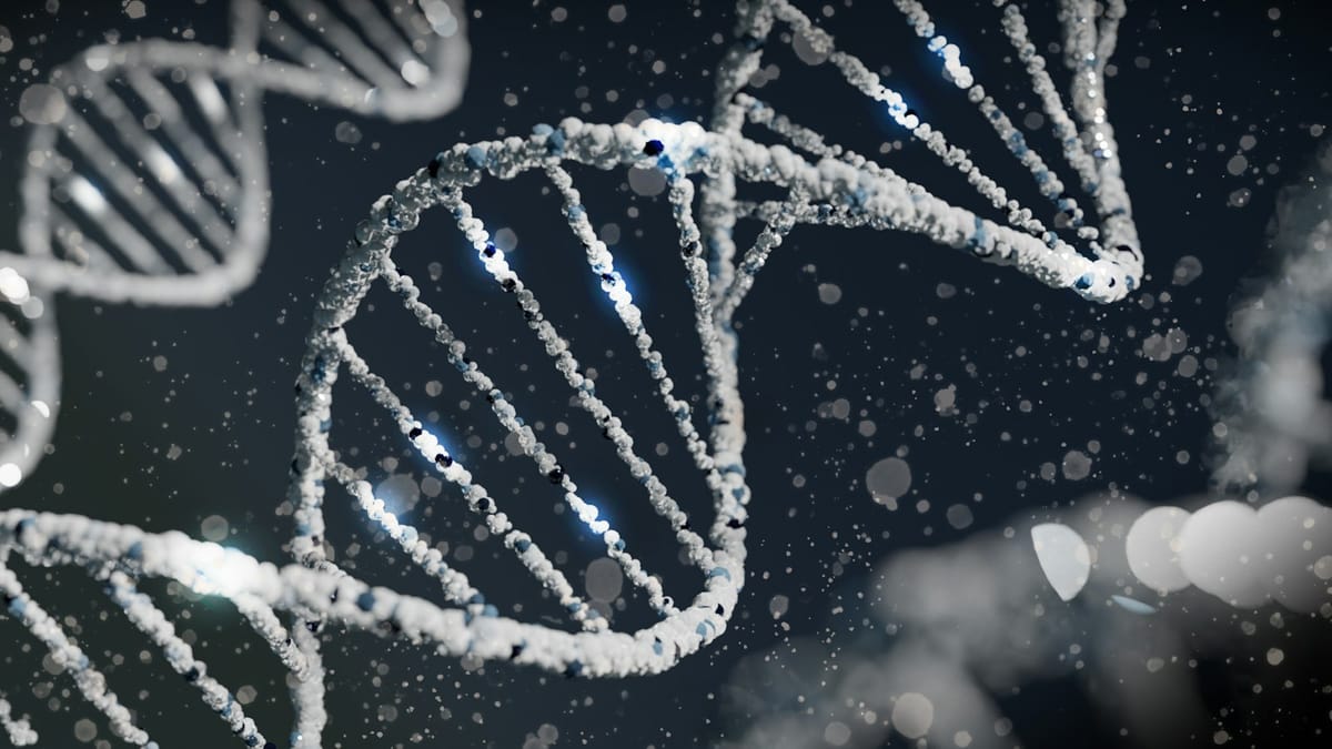 Genetika a epigenetika: Nový pohľad na evolúciu