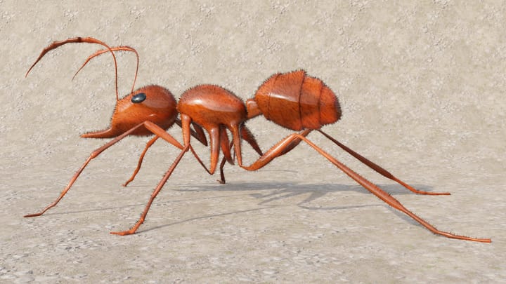 Veda 2026: Čo nás čaká podľa New Scientist Live