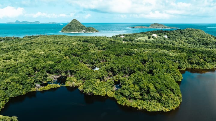 Adaptácia na zmenu klímy: Pohľad Richarda Filčáka