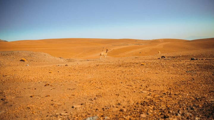 Nové nádeje pre Západnú Saharu: Rozhovory a uznesenie OSN