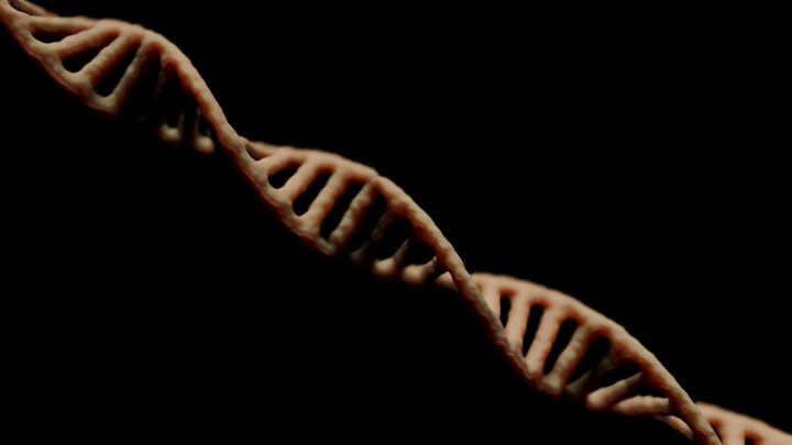 DNA testy: Odhalenie rodinných prekvapení a zmena identity