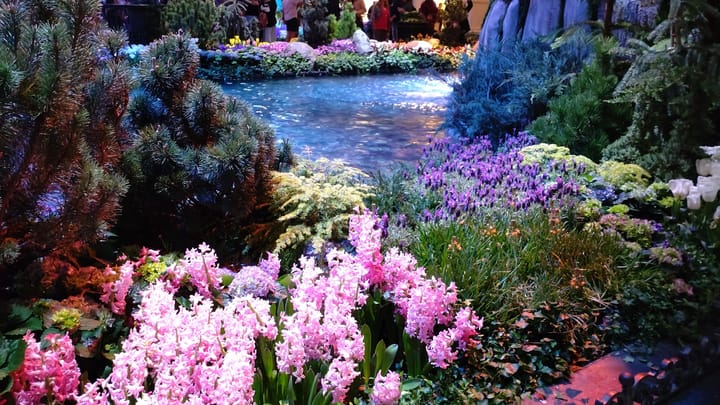 Las Vegas: Mesto umenia a prekvapenia?