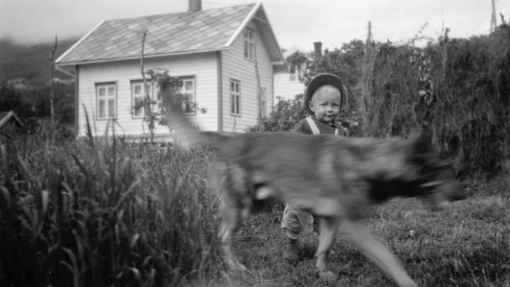 Čo indické bojové umenia odhalili o vzdelávaní?