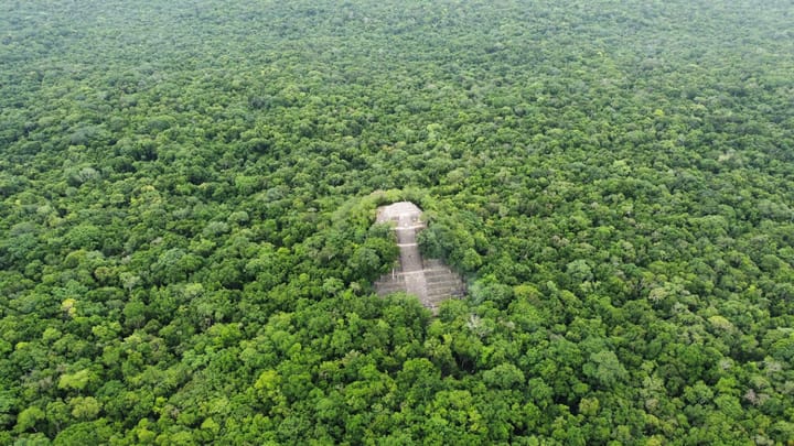 Ako zladiť poľnohospodárstvo a ochranu lesov?