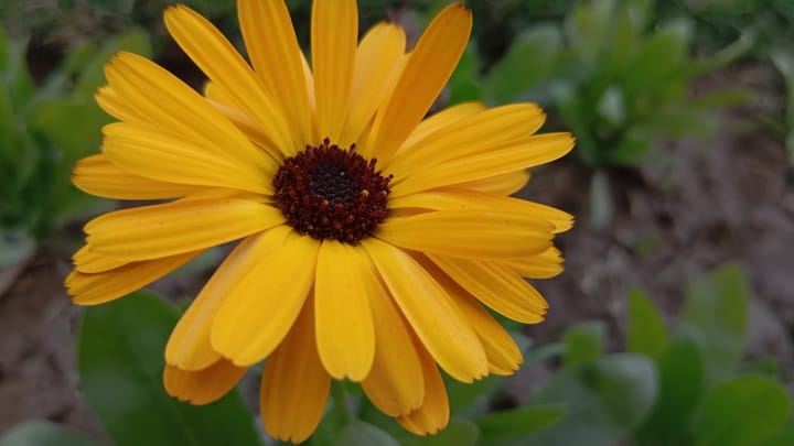 Stín za úsmevom Hannah Montana: Temná strana vzostupu Miley Cyrus