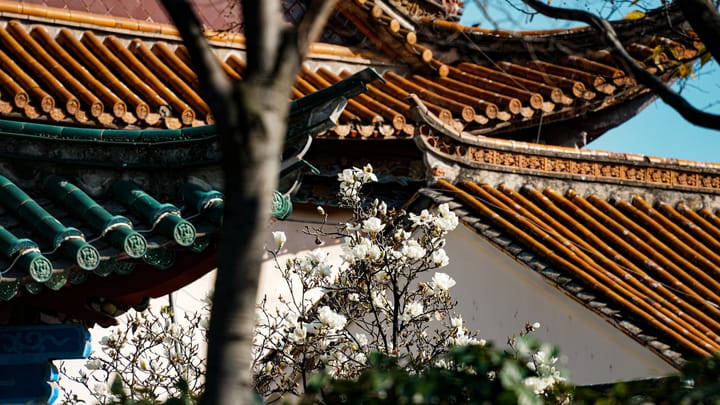 Tajomstvá Magnólie: umelcova inšpirácia v čínskej kultúre