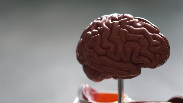 Prečo Máme Radi? Veda o Láske a Neurologických Základoch