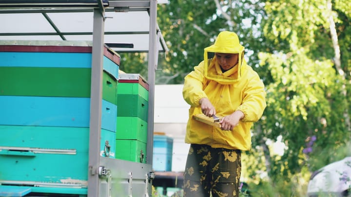 Pod lupou med: Falzifikáty, kvalita a overovanie pravosti