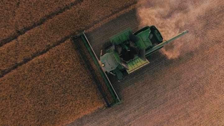 Ryboluminoznosť: Čistá energia a udržateľné rybníctvo