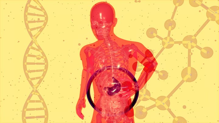 Výživa a Mikrobióm: Ako Zlepšiť Vplyv a Charizmu
