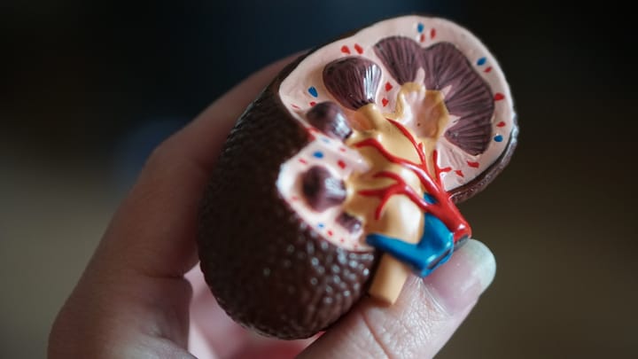 Šokujúca transplantácia pečene: Alan Brazilova cesta k novému životu!