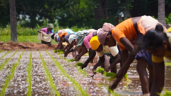 IFAD: Podpora malých farmárov v odľahlých komunitách