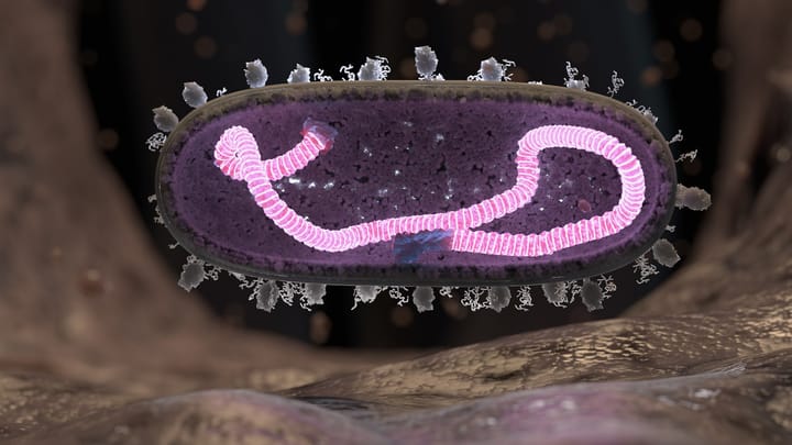 Mitochondrie: Tajomstvo metabolizmu