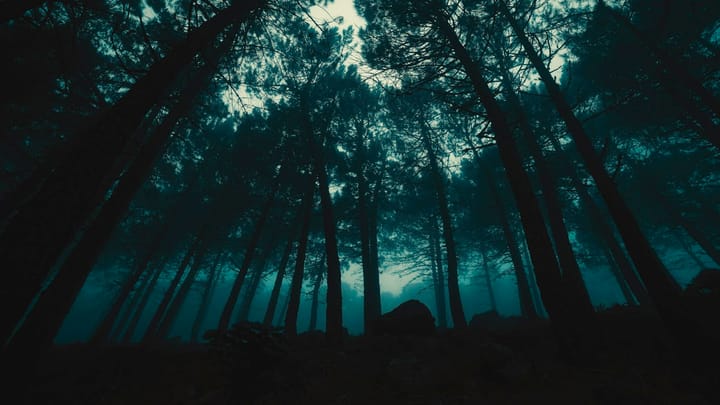 Temná noc strašidiel – recenzia filmu